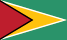 Guyana flag