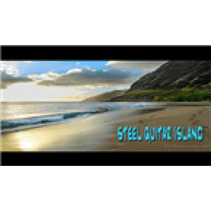 Aloha Joe's Steel Guitar Island