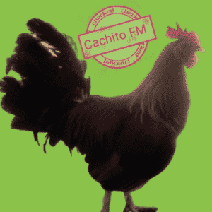 Cachito FM