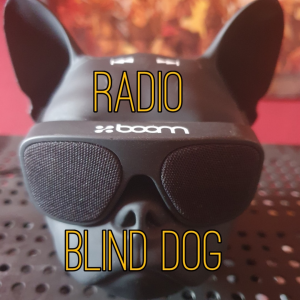 Radio Blind Dog