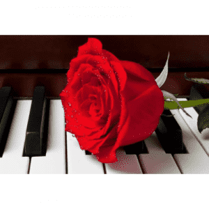 Radio Art - Solo Piano