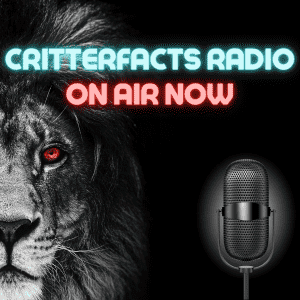 CRITTERFACTS RADIO