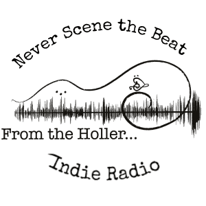 From The Holler Indie Music & Talk