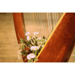 Radio Art - Solo Harpe