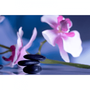 Radio Art - Meditation