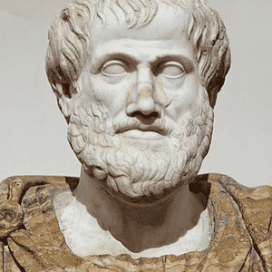 The Reasonable Man Cave