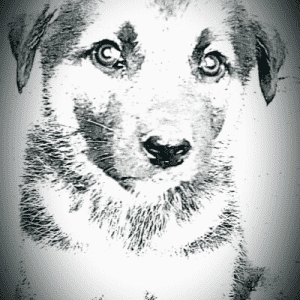 Ibani24 Global Radio