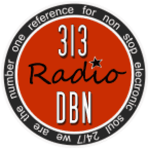 313 DBN Radio