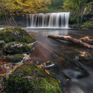 internationalfriendsnetwork