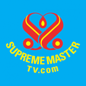Supreme Master Television Live