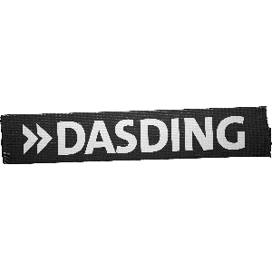 SWR DasDing Lautstark