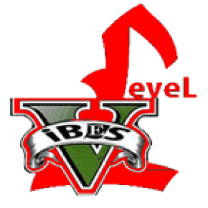 levelvibesradio
