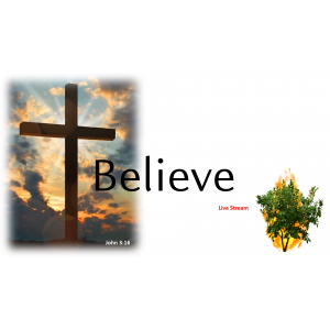 Believe SA