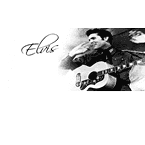 Elvis And Company