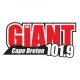 101.9 The Giant
