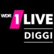 1LIVE diggi