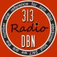 313 DBN Radio