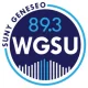 89.3 WGSU