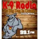 99.1 KNYN THE BIG DOG