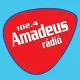 Amadeus Radio 102.4 FM