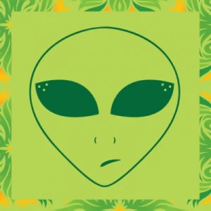 Ambi Nature Radio (Sleep, Relaxation & Meditation)