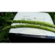 Asparagus Radio