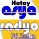 Asya Radyo 96.2