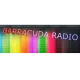 Barracuda radio