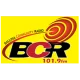 BCRfm