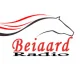 Beiaard Radio