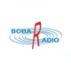 BOBAR radio