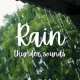 BOX : Rain & Thunderstorms Sounds