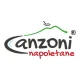 Canzoni Napoletane