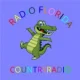 Countryradio Florida
