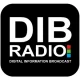 DIB RADIO