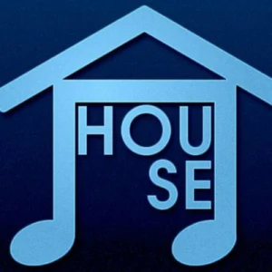 Digital Impulse - House