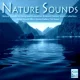 Digital Impulse - Nature Sound