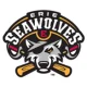 Erie SeaWolves Baseball Network