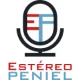 ESTEREO PANIEL