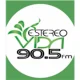 Estereo Vida 90.5