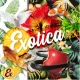 Exotica Radio