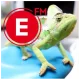 Expres FM