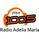 FM 100.5