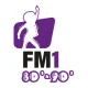 FM1 80's & 90's