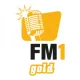 FM1 Gold