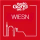 Gong 96.3 Wiesn Hits