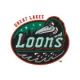 Great Lakes Loons Baseball Network