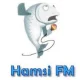 Hamsi fm