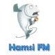 Hamsi FM