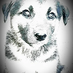 Ibani24 Global Radio